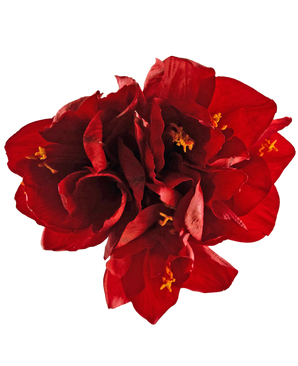 Fiore artificiale Amaryllis rosso 36 cm