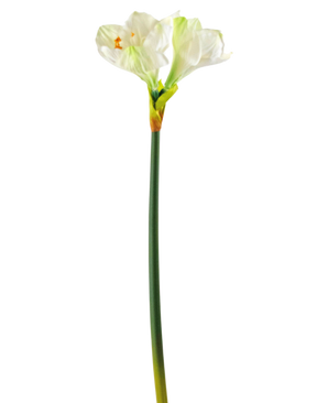 Fiore artificiale Amaryllis bianco 66 cm