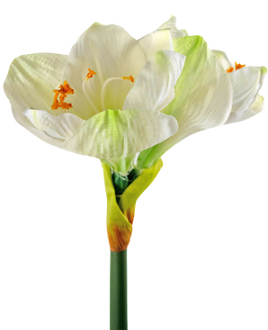 Fiore artificiale Amaryllis bianco 66 cm