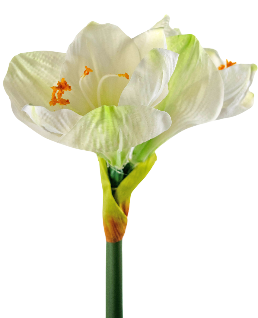 Fiore artificiale Amaryllis bianco 66 cm