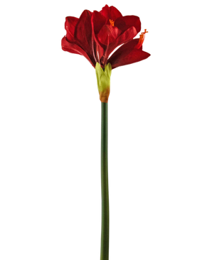 Fiore artificiale Amaryllis rosso 66 cm