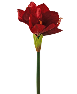 Fiore artificiale Amaryllis rosso 66 cm