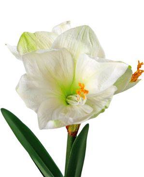 Fiore artificiale Amaryllis bianco 48 cm