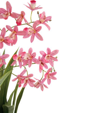 Piante Finte Mini Cymbidium Real Touch 58 cm rosa