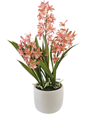 Cymbidium 58 cm rosa Piante Finte