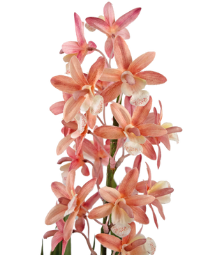 Cymbidium 58 cm rosa Piante Finte