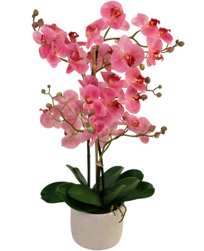 Orchidea artificiale Real Touch 68 cm Real Touch rosa