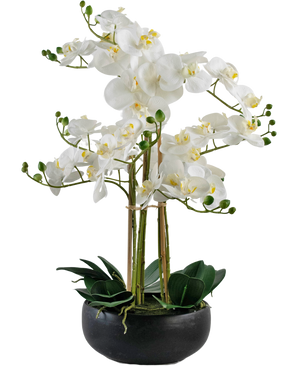 Orchidea artificiale Real Touch 50 cm bianca in vaso nero