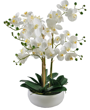 Orchidea artificiale Real Touch 50 cm bianca in vaso bianco