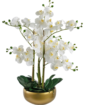 Orchidea d'arte Real Touch 50 cm di peso in vaso oro