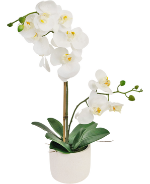 Orchidea artificiale Real Touch 60 cm bianco