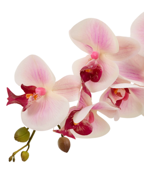 Orchidea artificiale Real Touch 60 cm rosa/bianco