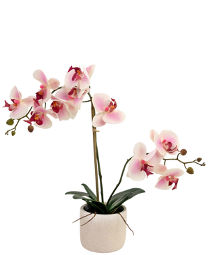 Orchidea artificiale Real Touch 60 cm rosa/bianco