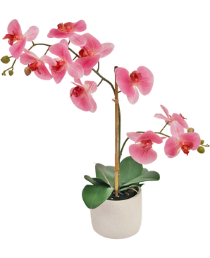 Orchidea artificiale Real Touch 60 cm rosa/bianco