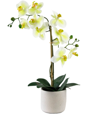 Orchidea artificiale Real Touch 60 cm verde/bianco