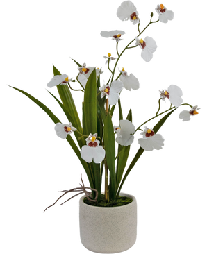 Oncidium artificiale Real Touch 48 cm bianco
