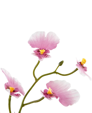 Oncidium artificiale Real Touch 48 cm rosa