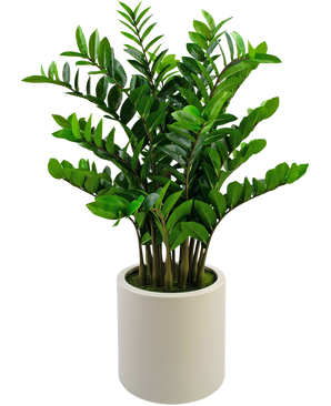 Piante Finte Zamioculcas pronta in vaso beige da 120 cm