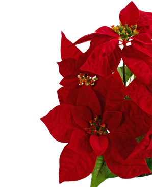 Piante Finte Poinsettia 44 cm rosso