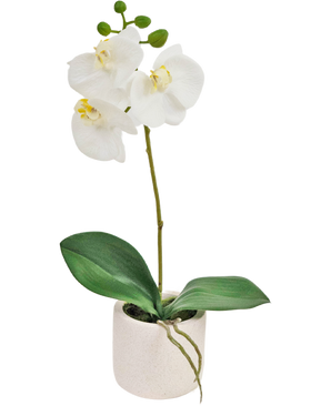 Orchidea artificiale Real Touch 30 cm bianco