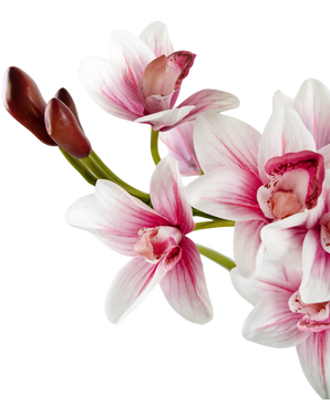 Cymbidium artificiale Real Touch 60 cm rosa