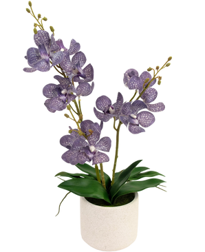 Ascocenda artificiale 50 cm viola