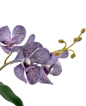 Ascocenda artificiale 50 cm viola