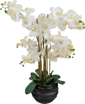 Orchidea artificiale Real Touch 85 cm bianco