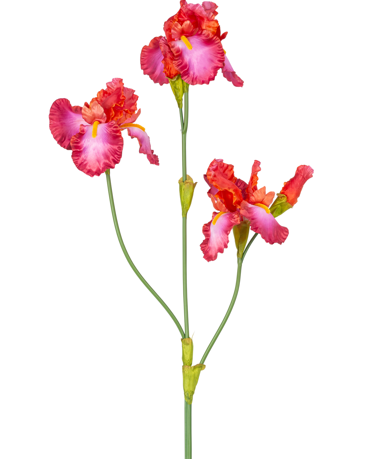 Il fiore artificiale Iris rosso da 102 cm ha uno stelo con tre vivaci fiori rosa e rossi con accenti gialli e bianchi. Gli steli verdi e i boccioli sono visibili su un semplice sfondo bianco.