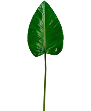 Foglio artificiale Alocasia 78cm