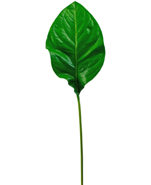 Foglia artificiale verde 90cm