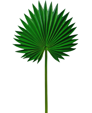 Foglia artificiale Washingtonia 73 cm