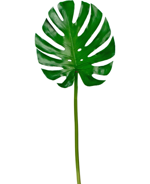 Foglia artificiale Monstera 88 cm