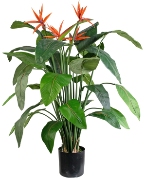 Piante Finte Strelitzia 120 cm