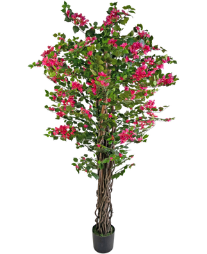 Piante Finte Bougainvillea 180 cm