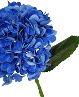 Een close-up van de Kunstbloem Charlotte Hortensia Real Touch in donkerblauw (55 cm), met een levendige blauwe kunsthortensiabloem met groen blad en steel, tegen een witte achtergrond.