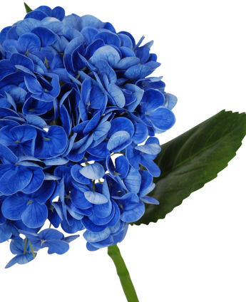 Een close-up van de Kunstbloem Charlotte Hortensia Real Touch in donkerblauw (55 cm), met een levendige blauwe kunsthortensiabloem met groen blad en steel, tegen een witte achtergrond.