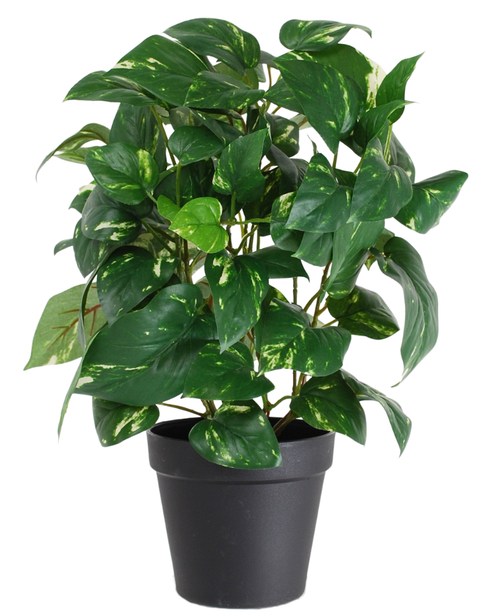 La pianta artificiale Golden Vine in vaso da 40 cm ha foglie verdi a forma di cuore con sfumature gialle, presentate in un elegante vaso nero su uno sfondo bianco.