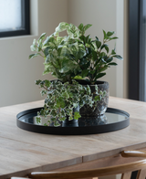 Su un tavolo di legno chiaro vicino alla finestra c'è un vassoio nero con tre edere artificiali Deluxe verde-bianco in vasi da 22 cm UV; sono parzialmente visibili due sedie in legno.