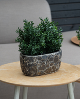 La Pianta Artificiale Bosso Stile Romano UV 36 cm, una piccola pianta artificiale a foglie verdi in una fioriera in pietra con struttura, poggia su un tavolo rotondo in legno chiaro con un divano beige e una parete in legno scuro sullo sfondo.