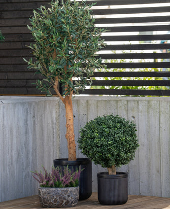 Drie potplanten staan buiten opgesteld: een Kunst olijfboom UV 155 cm met een slanke stam, een ronde struik en een kleine pot met paarse heide, allemaal tegen een betonnen muur en een hek van houten latten.