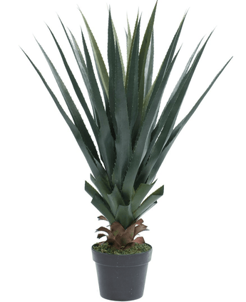 Agave artificiale Pandora UV 85 cm