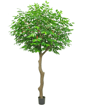 Albero di caffè artificiale 300 cm