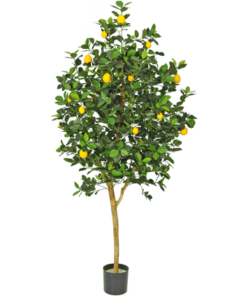 Albero di limoni artificiale 150 cm