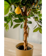 Albero di limoni artificiale 75 cm