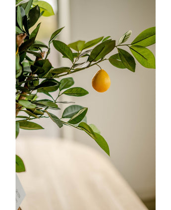 Albero di limoni artificiale 75 cm