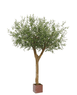 Albero ulivo finto 260 cm con olive