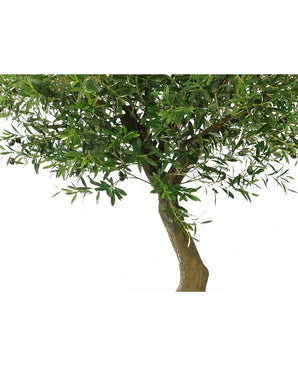 Albero ulivo finto 270 cm con olive