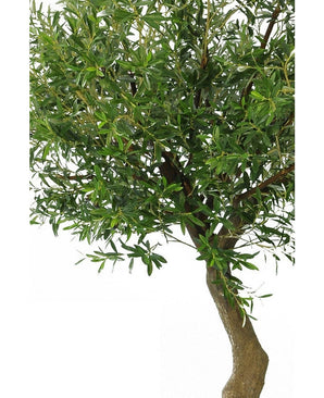 Albero ulivo finto 270 cm senza olive