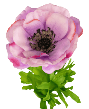 Anemone artificiale Real Touch viola 52 cm